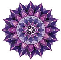 A cute mandala design looks great vector