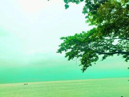 A beautiful landscape view of the hanging branches of trees on the banks of the river photo