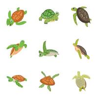 WebPack of Turtle Reptile Flat Icons vector