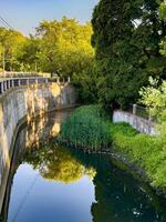 A serene urban canal surrounded by lush greenery and reflective water, showcasing a harmonious blend of nature and cityscape. Perfect for environmental and city-themed projects photo