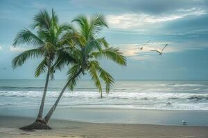 Palm trees leaning over the beach with gentle waves and seagulls in flight background photo