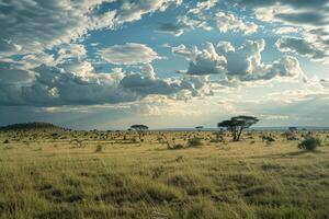 Expansive Savanna with Cloud Patterns and Sunlight  nature background photo