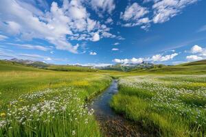 Meadow with Winding Stream and Wildflowers in Bloom Under Clear Blue Sky nature background photo