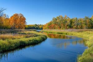 River Flowing Through a Meadow with Autumn Foliage photo
