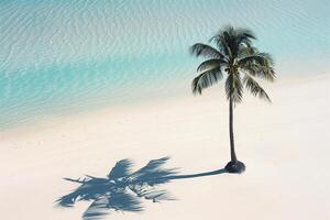 Lone palm tree casting shadow on the pristine white sand beach with turquoise waters background nature photo