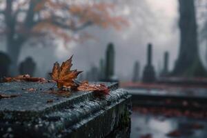 Solitary leaf resting on an old weathered gravestone in mistcovered cemetery at dawn photo