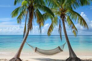 Hammock Between Two Palm Trees on Secluded Beach Overlooking Calm Azure Waters   nature background photo
