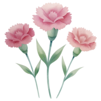 aigenerated watercolor drawing of a canations png