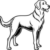 Labrador line art, Labrador line drawing, Labrador outline drawing,Labrador illustrations vector