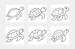 Engaging Turtle Line Art Set Perfect for Kids Coloring vector