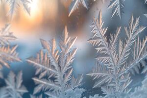 Intricate Frost Patterns on a Window Background Nature photo