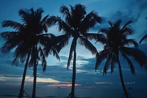 Palm Trees Silhouetted Against a Dramatic Sky During Twilight on a Tranquil Beach in Nature Background photo