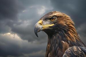 Portrait of a Golden Eagle with Piercing Eyes Against a Dramatic Cloudy Sky Nature Background photo