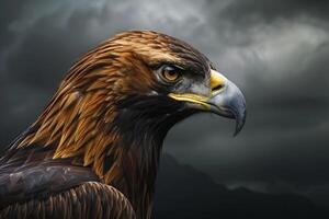 Portrait of a Golden Eagle with Piercing Eyes Against a Dramatic Cloudy Sky Nature Background photo