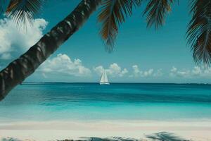 palmfringed beach with turquoise water and a distant sailboat on the horizon. Nature Background photo