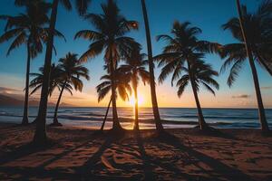 Palm Trees Casting Long Shadows on a Quiet Deserted Beach at Sunset with Nature and Background photo