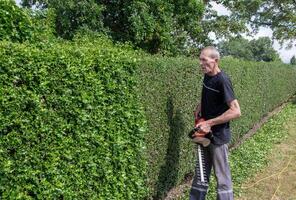 Gardener in work clothes trimming prickly fence, decorative thorny holly hedge with electric hedge trimmer in backyard garden, lifting heavy garden tool by hand, photo