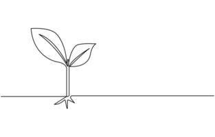 Continuous one line plant growth tree outline art drawing,Single line drawing of a plant, Plant growing continuous one line art drawing of tree plant art vector