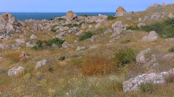 Shell stones and rocks on the territory of Kazantip, steppe landscape with specific flora and fauna, eastern Crimea photo