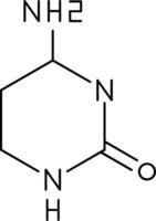 Cytosine Line Icon vector