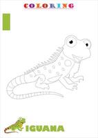 I for Iguana Coloring vector