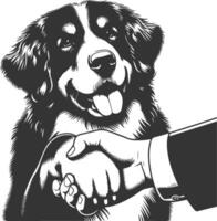 Bernedoodle Dog different poses silhouette design vector