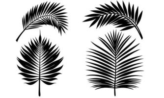 Set of 4 fine palm tree leaf silhouette on white background vector