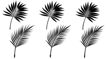 Set of 6 palm tree leaf silhouette on white background vector