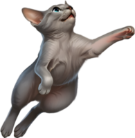 Charming Art Featuring the Playful and Loving Korats. . png