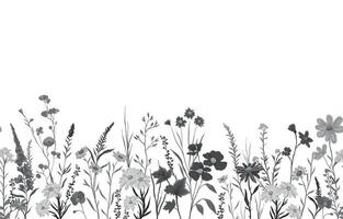 monochrome background with various wildflowers plants, seamless from right to left vector