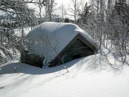 Snowy Tent in Forested Slope with Trees photo