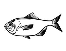 Splendid Alfonsino Beryx Splendens Kinmedai Side View Retro vector