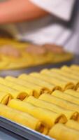 Full tray with semi-cooked stuffed crepes. Close up. Chef in gloves rolls yellow pancakes with stuffing at backdrop in blur. Vertical video