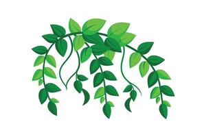 Botanical Vine Frame - Circle Design with Foliage for Minimalist Decorative Art vector