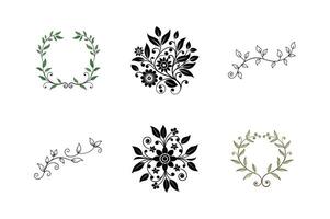 Leafy Vine Divider Line Set - Botanical Elements for Elegant Nature-Inspired Design and Decor vector