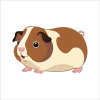 Flat Illustration of Adorable Guinea Pig with Large Eyes and Plump Body vector