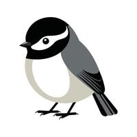 Flat Illustration of BlackCapped Chickadee with Black Cap and Clean Lines vector