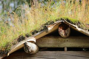Detail of sod roof in traditional Sami architecture photo