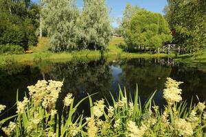 Beautiful pond in Nordanaparken in Skelleftea, Sweden photo