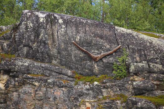 Remains of ancient boat building site in Tornehamn, with a part of a wooden ships frame on the rock photo