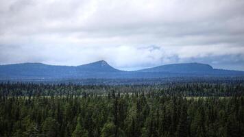 Mountainscape in Muddus National Park in Sweden photo