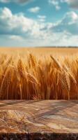 Focus on table in front of wheat field, terragen, innovative, sparse background, photography photo