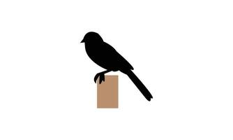 Towhee Bird Silhouette Design And Illustration. vector