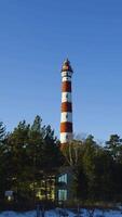 un alto rojo y blanco a rayas osinovets faro soportes en contra un claro azul cielo, rodeado por pino arboles el histórico faro pasa por alto el apuntalar de lago ladoga video