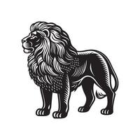 Lion illustration Art with black and white vector