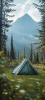a tent in grass surrounded by pine trees photo