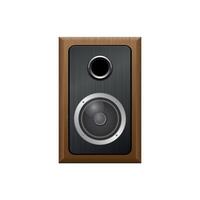 music column with speaker and subwoofer in wooden case on white background vector