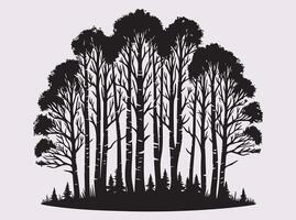 Natural Birch Tree Forest Silhouette in Black Featuring a Scenic Woodland View with Tall Trees vector
