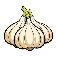 Three garlic cloves on a white background vector