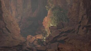 A scenic cave filled with rocks and trees video